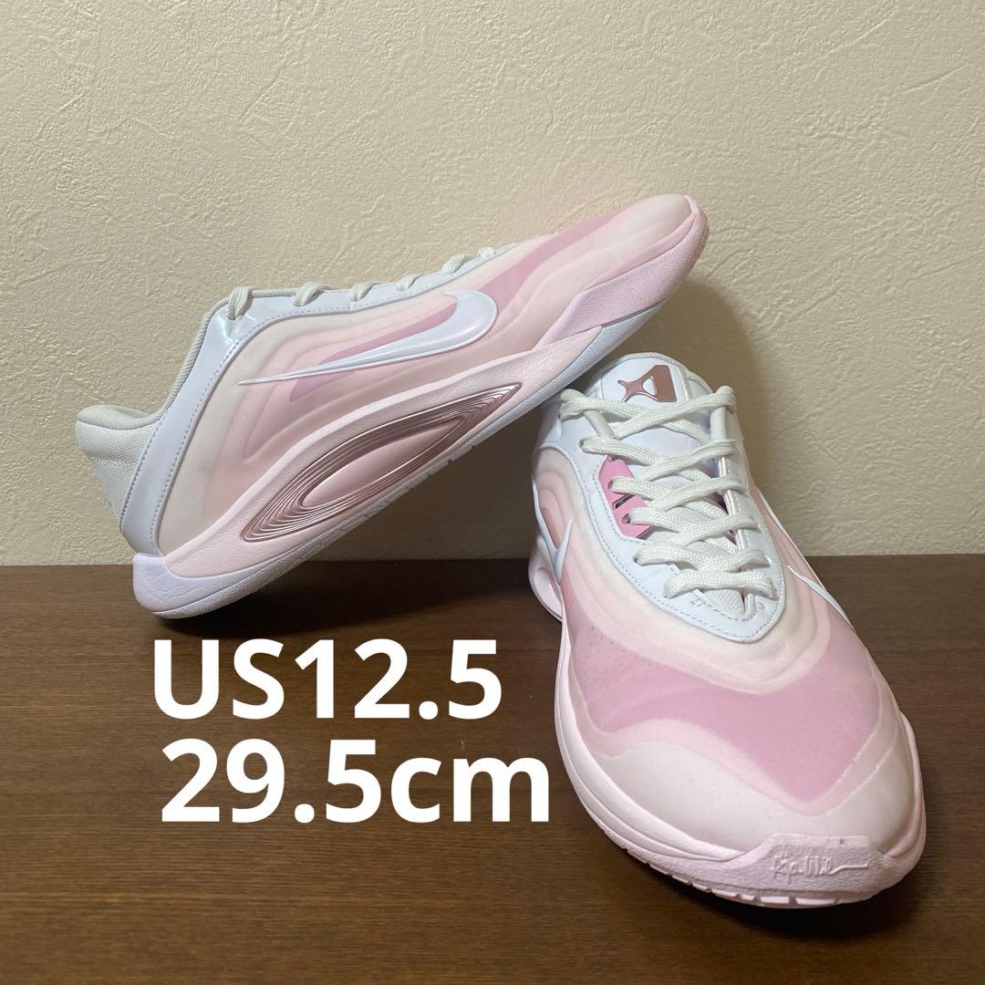 NIKE A one aone ナイキ エイジャ　バッシュ 29.5cm