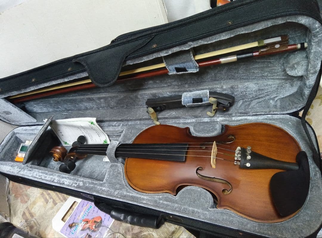 wakoハルシュタット　 バイオリン