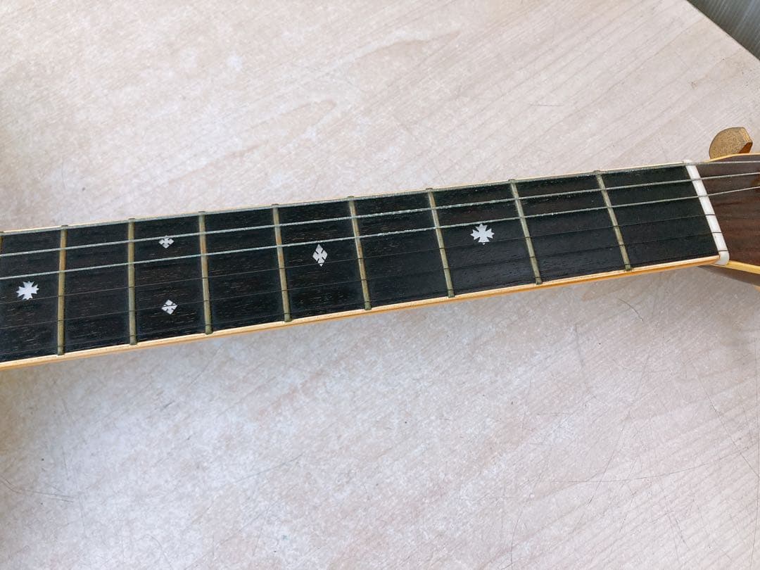 a*9様 Cat’s Eyes CE-500 アコースティックギター ハードケー