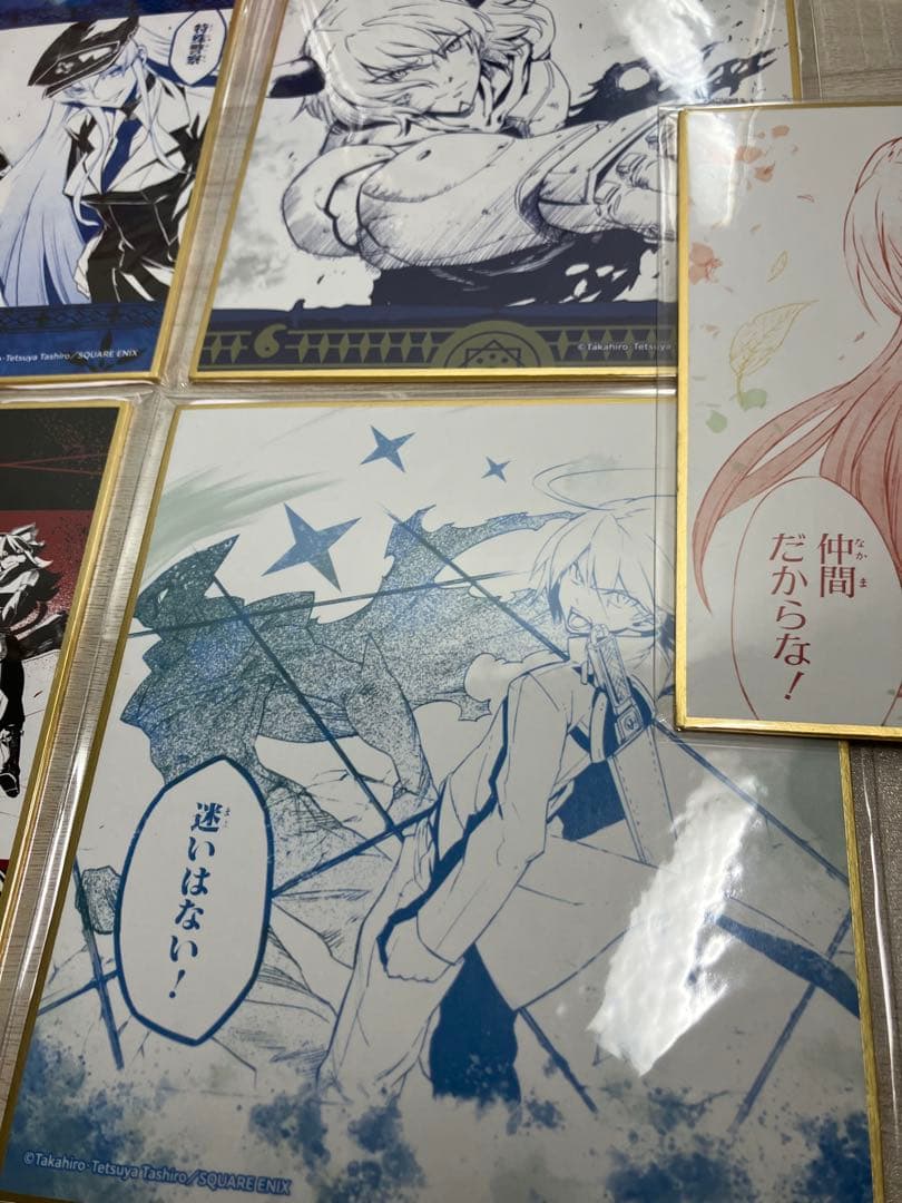 アカメが斬る！　推しちゃれ　色紙　10種セット　エスデス　アカメ