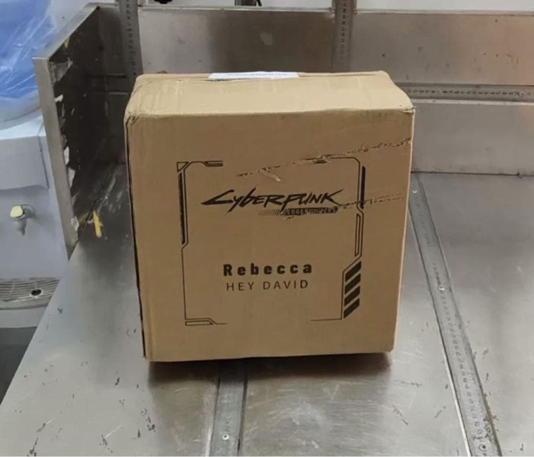 サイバーパンク レベッカ ガレージキット ガレキ スタチュー②