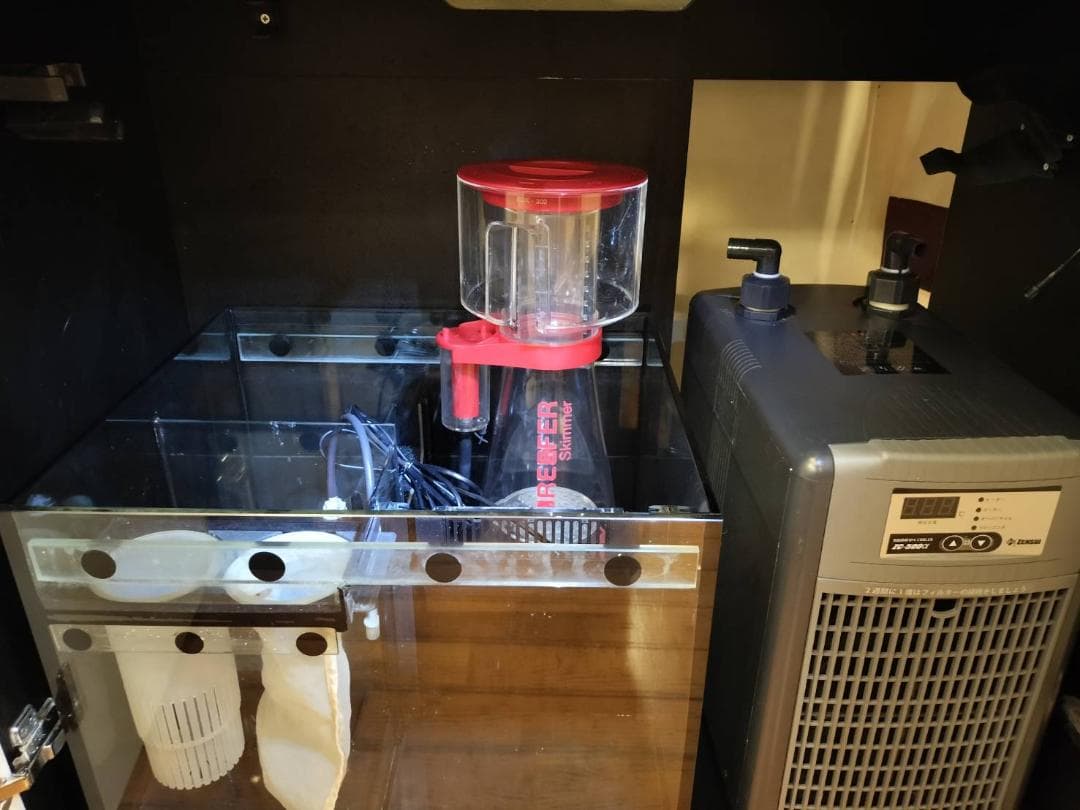 レッドシー　リーファ　２５０　水槽セット