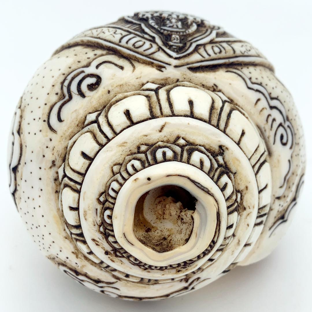 ◆チベット密教法具　法螺貝（シャンカ）十一面千手千眼観音菩薩-A-