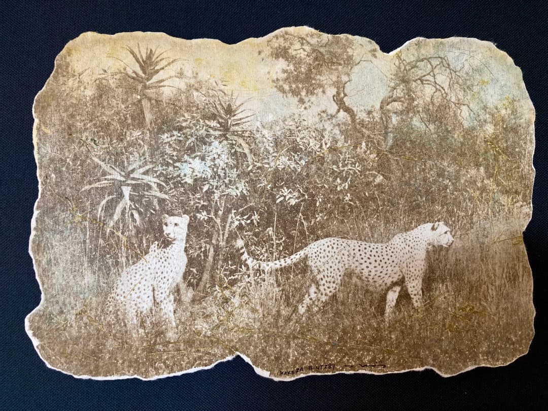 井土英世志作品 KAKERA#NY287 ミクストメディア 「真作」