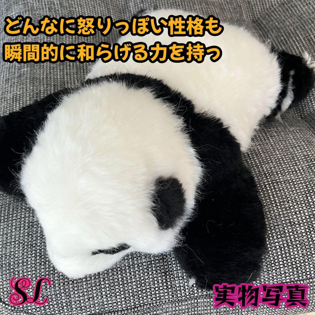 パンダ　リアルぬいぐるみ 3ヶ月パンダ　高級ぬいぐるみ　ファファ