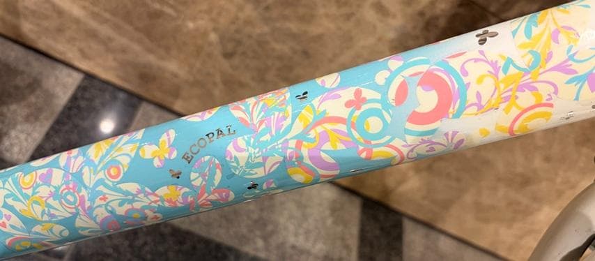 ブリジストン　エコパル-22インチjunior-手渡しのみでお願いします