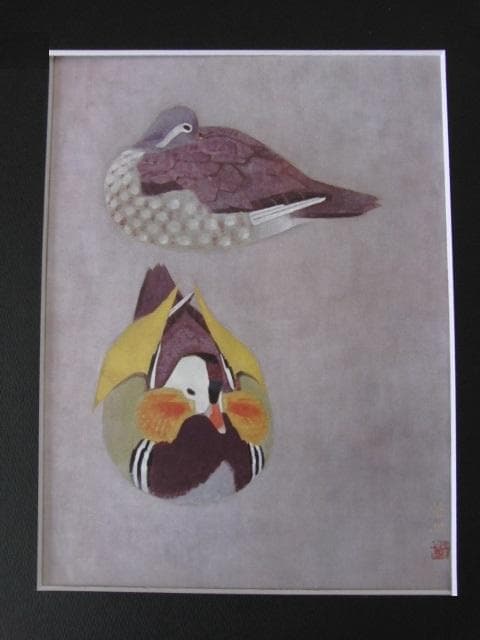 山口華楊、【鴛鴦】、希少な大判額装用画集より、新品高級額装付、豪華限定版
