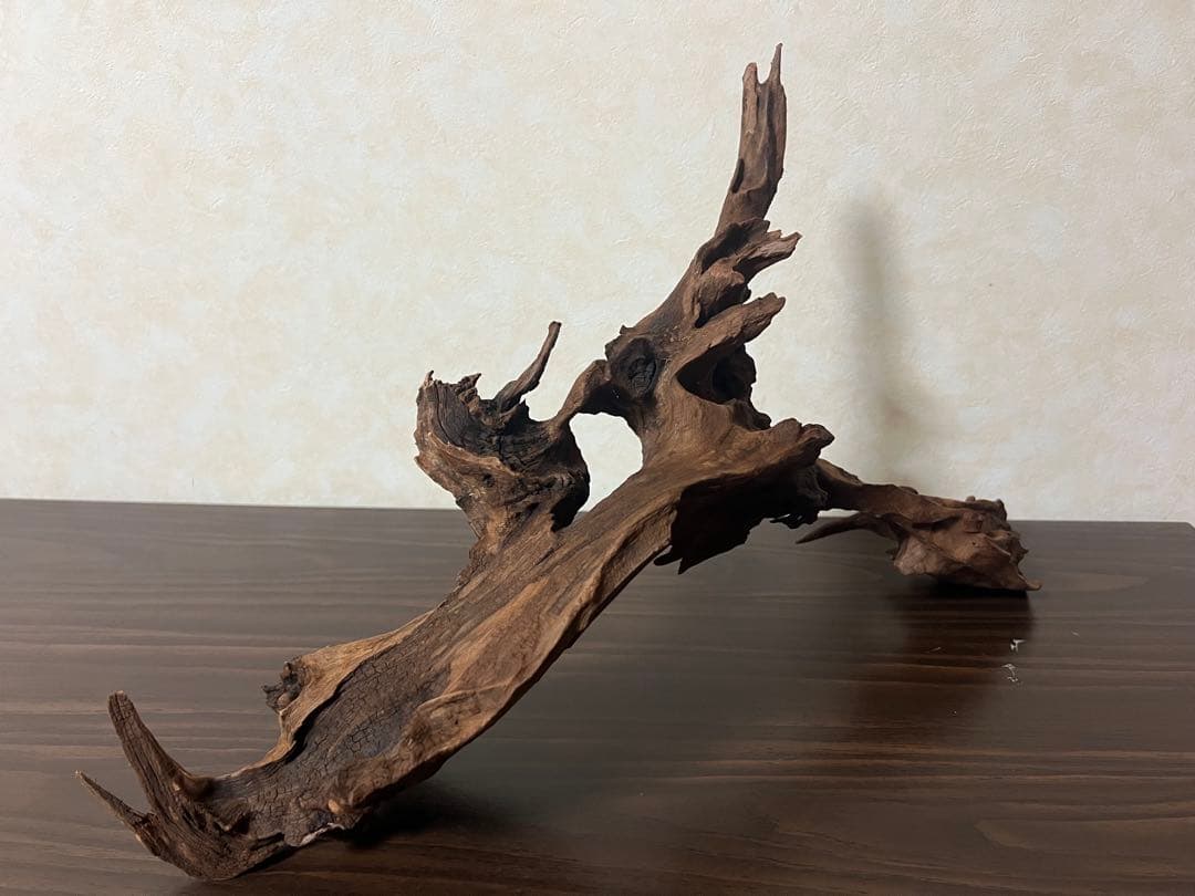 HX-057流木　マシンガンウッド　ホーンウッド アクアリウム　ブランチウッド