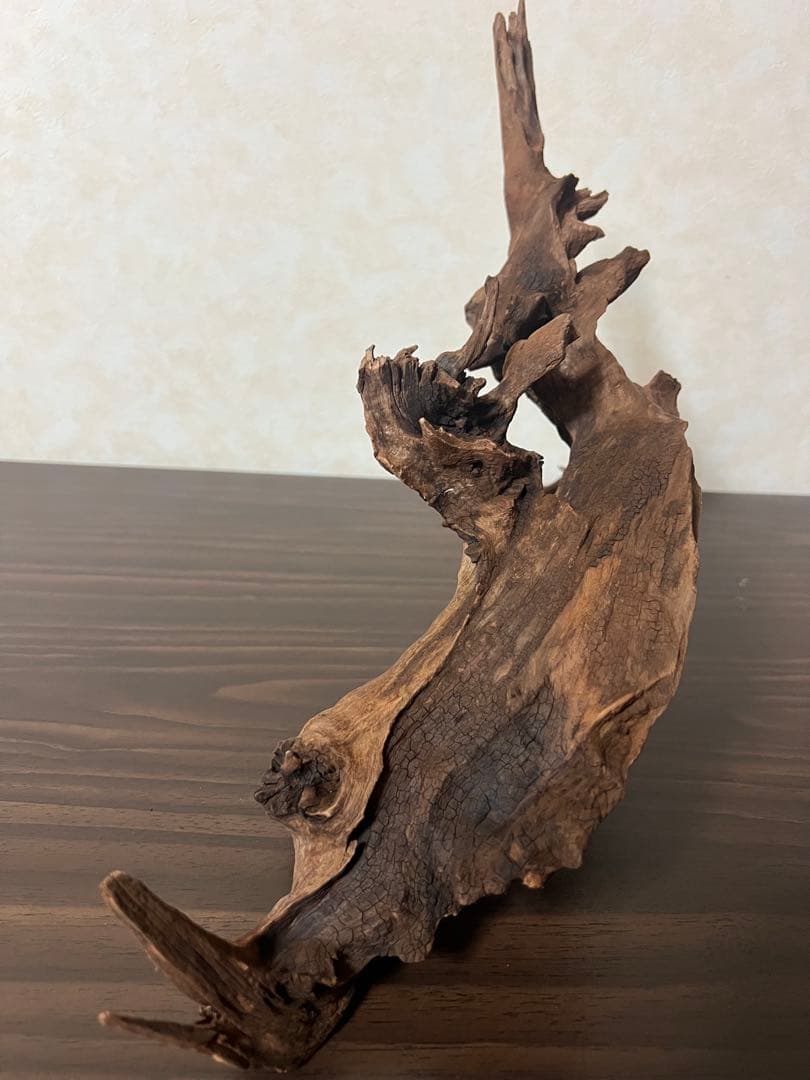 HX-057流木　マシンガンウッド　ホーンウッド アクアリウム　ブランチウッド