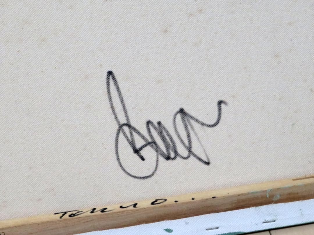 Beejoir ビジョア Radiation Bird 10枚限定 キャンバス