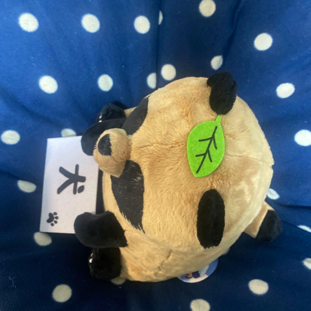 雨と君と BIGぬいぐるみ 『君』 犬 たぬき 狸