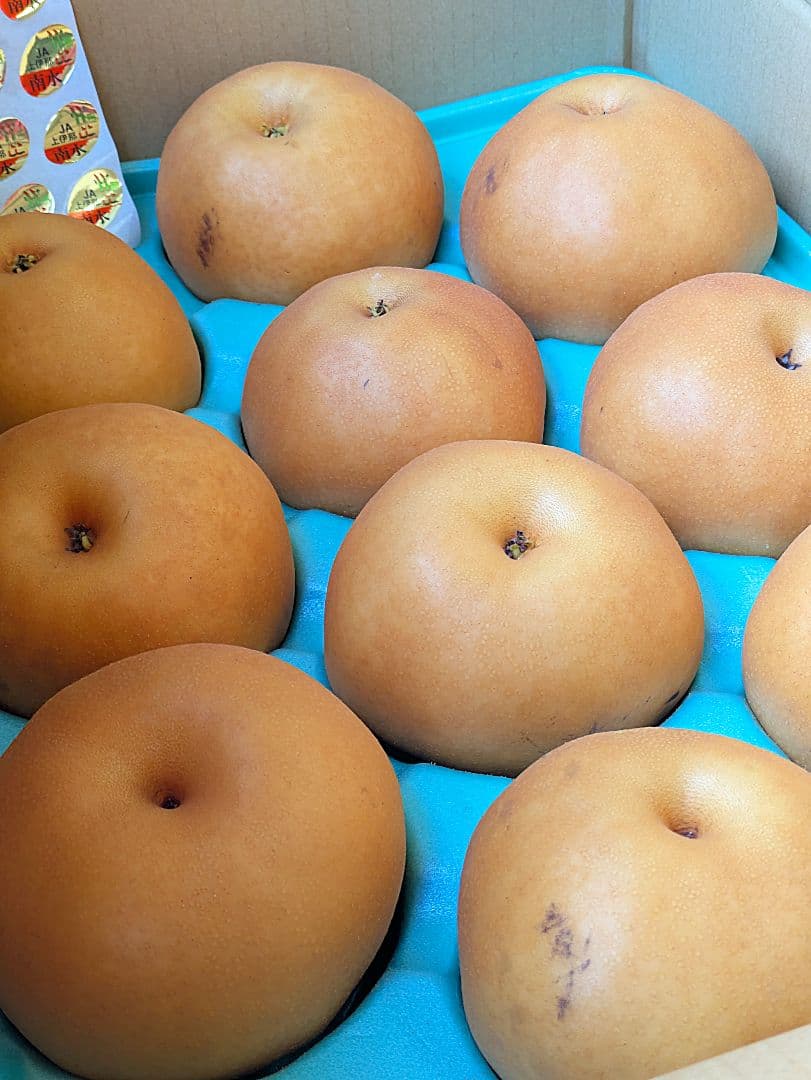 はる♡２箱♡南水梨♡大きめサイズ♡10玉入♡５kg箱入♡