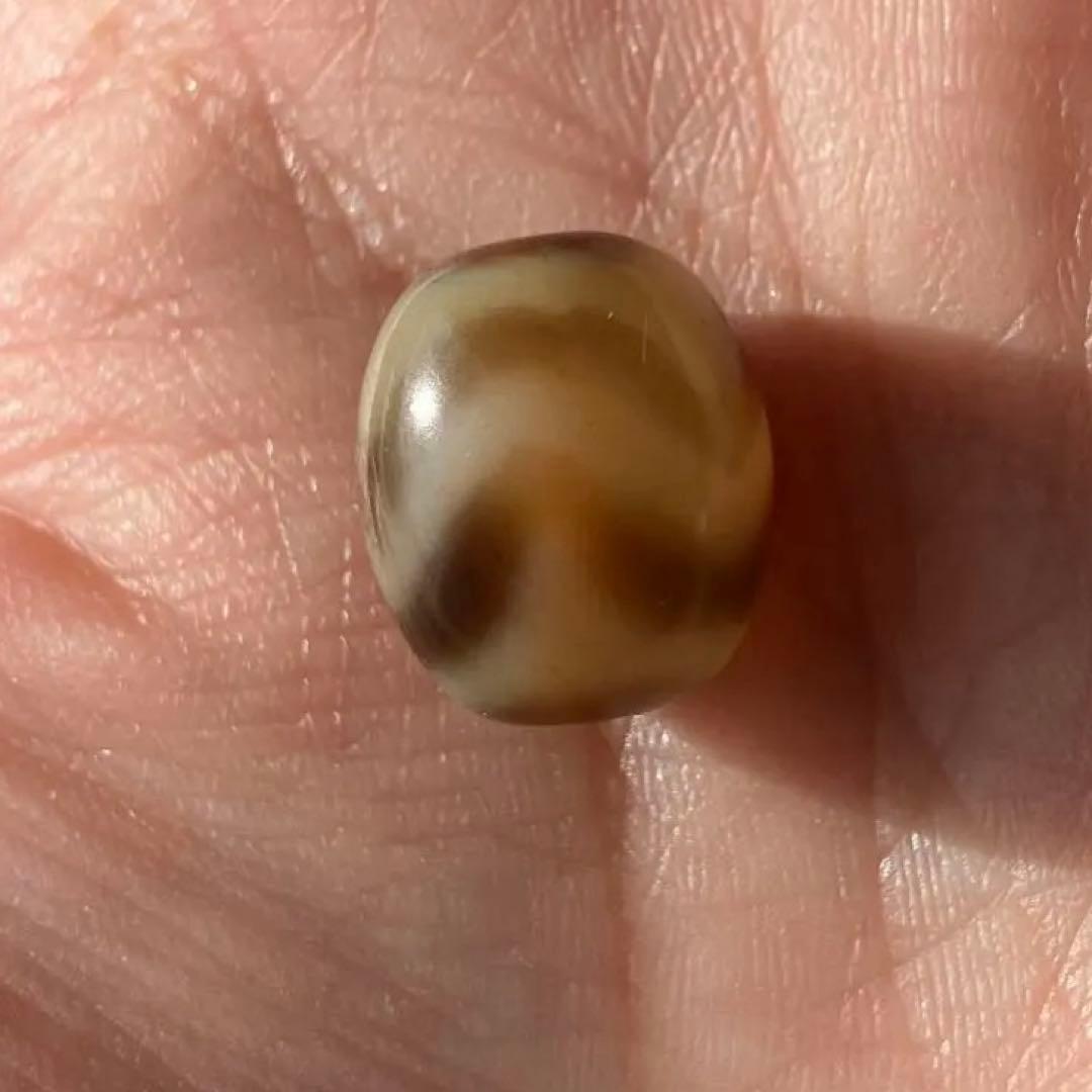 水紋虎牙 天珠 Dzi bead ①