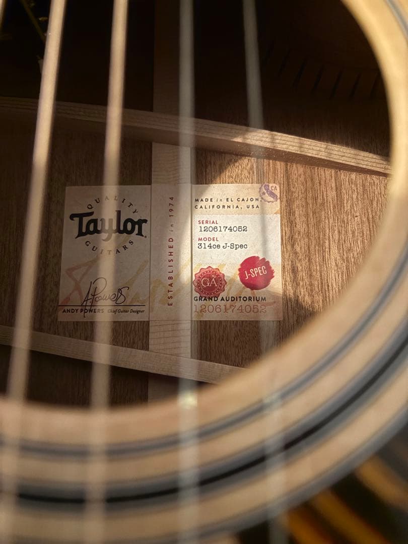 meromu　光栄堂　taylor 314ce Vクラス　日本限定仕様