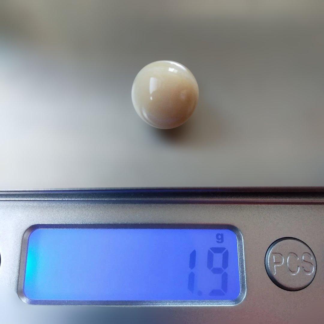 鯨歯　マッコウクジラ　牙玉ペンダントトップ　11.5㎜　10個　①