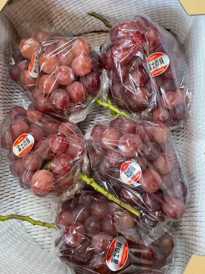 11【岡山県産】富士の輝　約5キロ