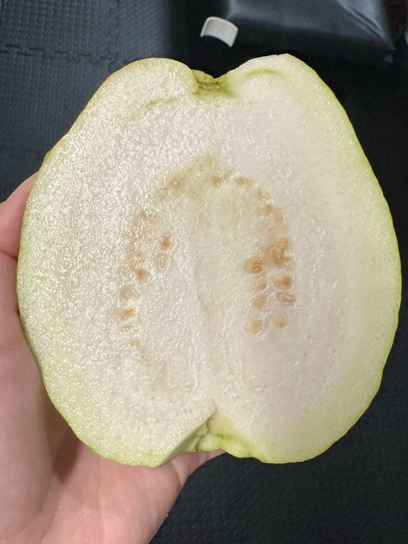 特大サイズ　新鮮 グアバ 5キロ 訳あり