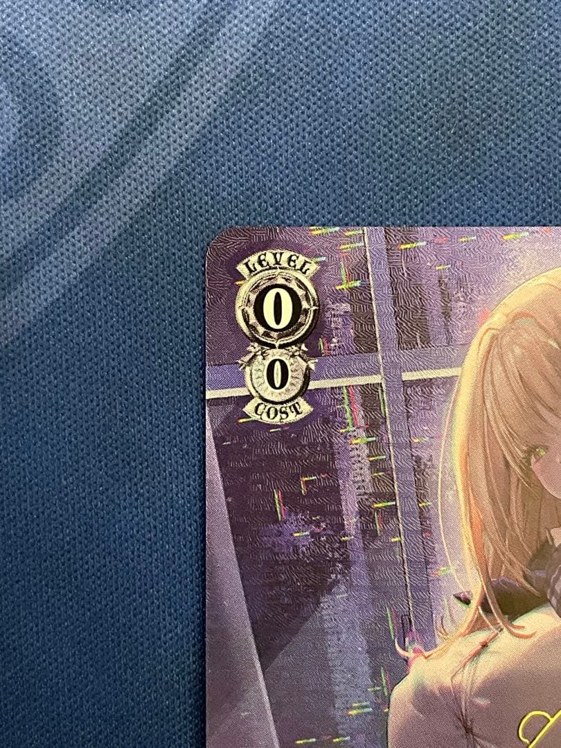 ヴァイスシュヴァルツ トカゲの保護 ティア SP