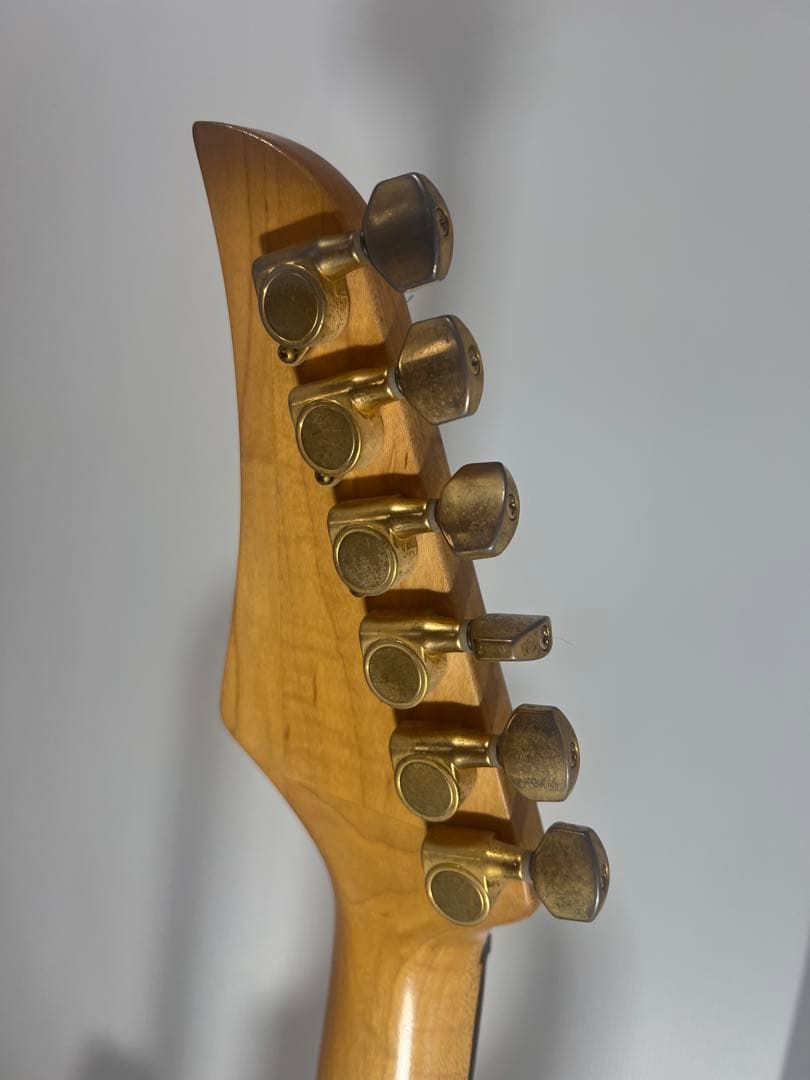 激レア 希少カラー フォトジェニックストラスキャスター HSH 初期型 ケース付