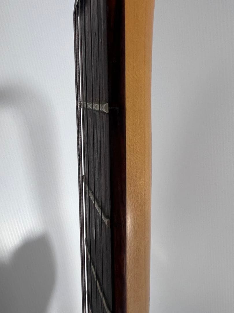 激レア 希少カラー フォトジェニックストラスキャスター HSH 初期型 ケース付