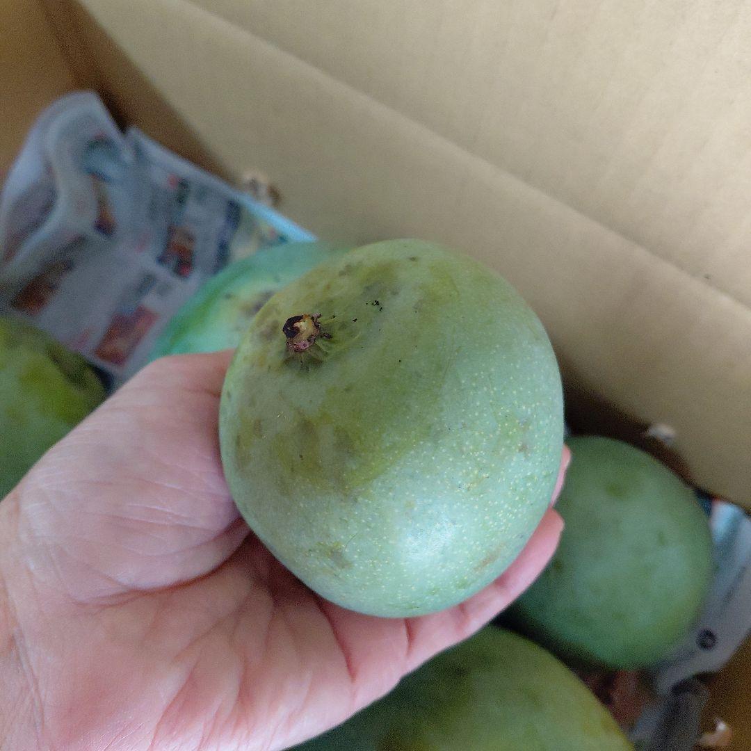 キーツマンゴー+ドット(ラスト)