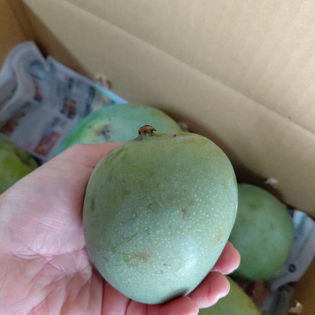 キーツマンゴー+ドット(ラスト)