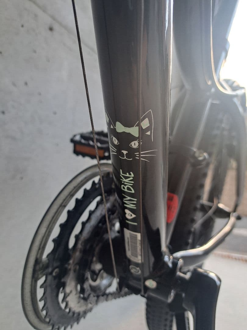 Trek マウンテンバイク 猫のステッカー付き