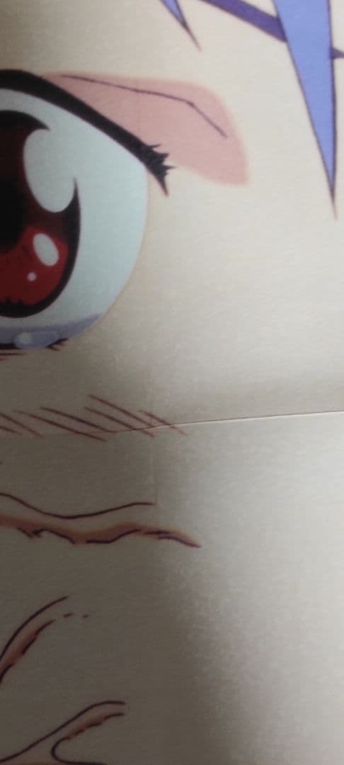 激レア エヴァンゲリオン WOWOW 非売品 ポスター・チラシ冊子