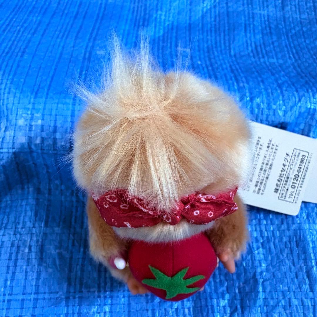 レア⬛︎希少⬛︎ベジタブル⬛︎モンチッチ⬛︎もんちっち⬛︎Sサイズ⬛︎トマト⬛︎バンダナ⬛︎金髪