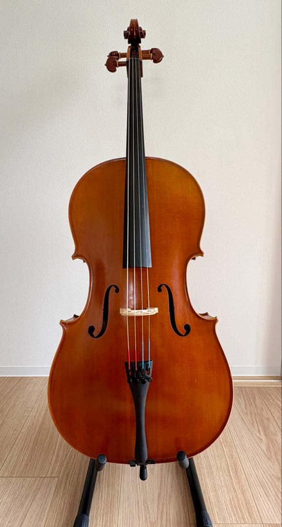 チェロ1/2 Pygmalius STANDARD/ピグマリウス スタンダード