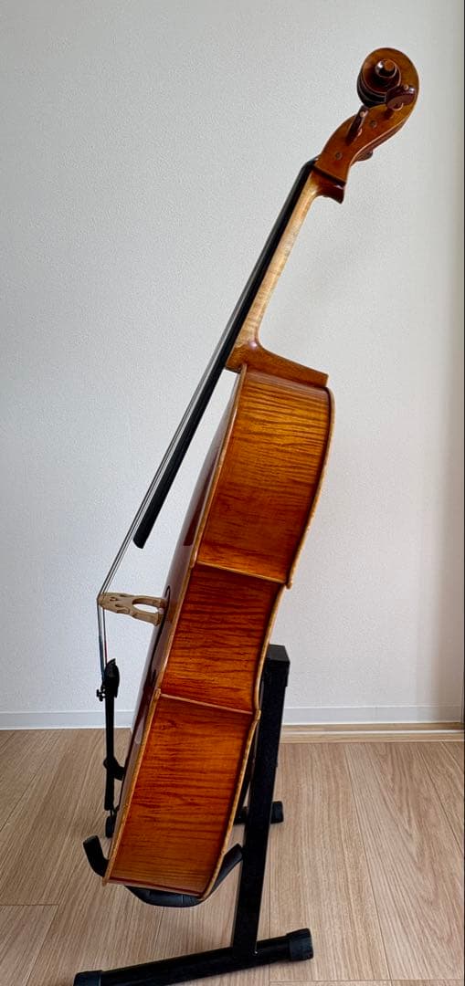 チェロ1/2 Pygmalius STANDARD/ピグマリウス スタンダード