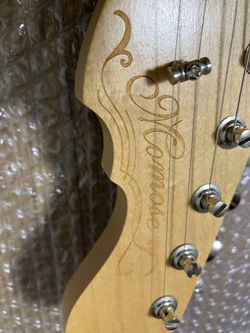 Momose MT1-STD/NJ DLPB テレキャスター　専用ソフトケース付