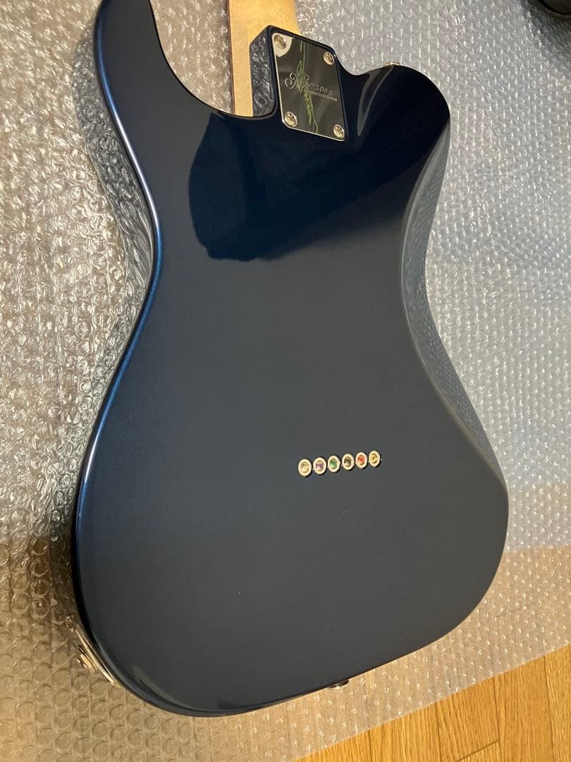 Momose MT1-STD/NJ DLPB テレキャスター　専用ソフトケース付