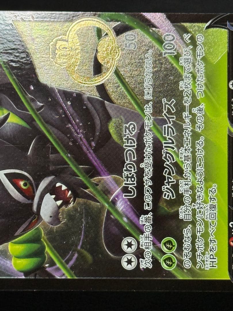 ザルードV：ガリガリ君×ポケモンカードゲーム PROMO S-Pプロモカード