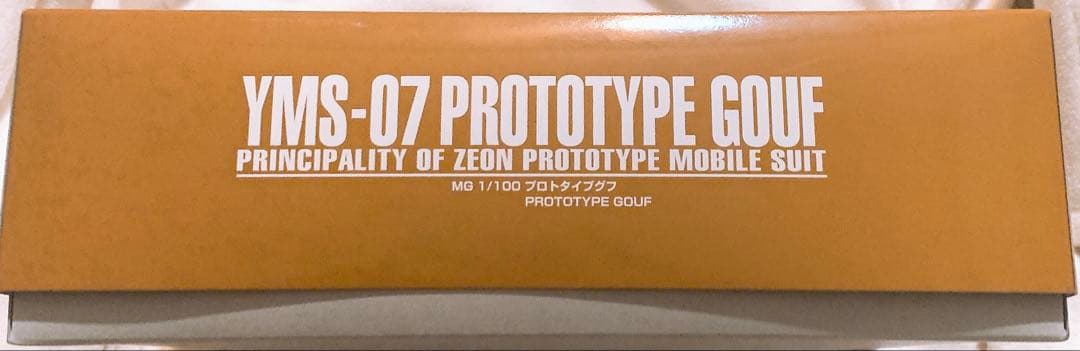 【PB限定】MG YMS-07 プロトタイプグフ
