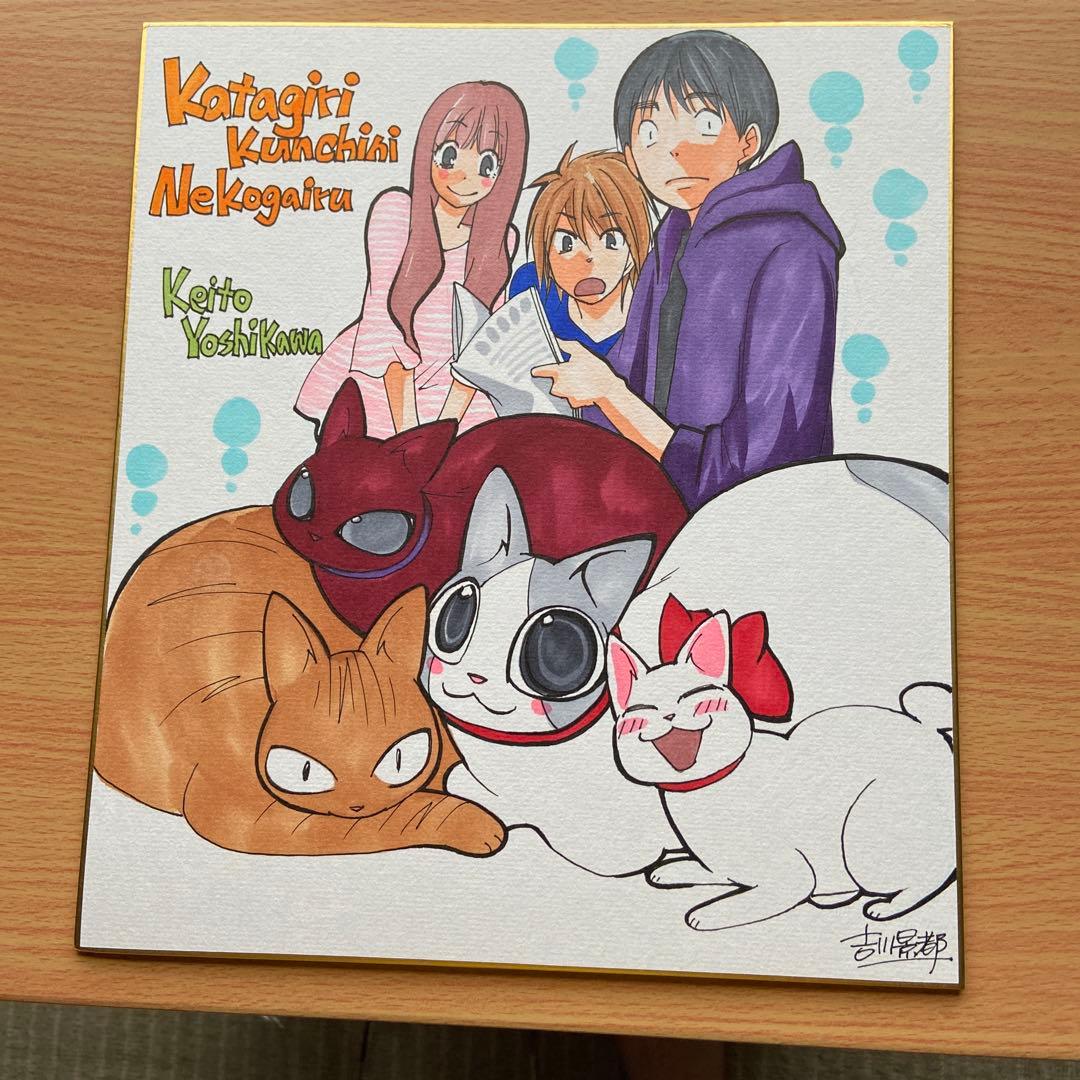 吉川景都直筆イラスト色紙　片桐くん家に猫がいるサイン色紙懸賞当選品