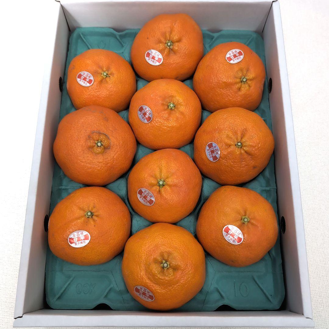 愛媛県産甘平みかん3Lサイズ 10個入り