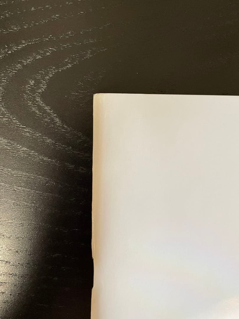 ミュウツーの逆襲 evolution パンフレット 古代ミュウ付き