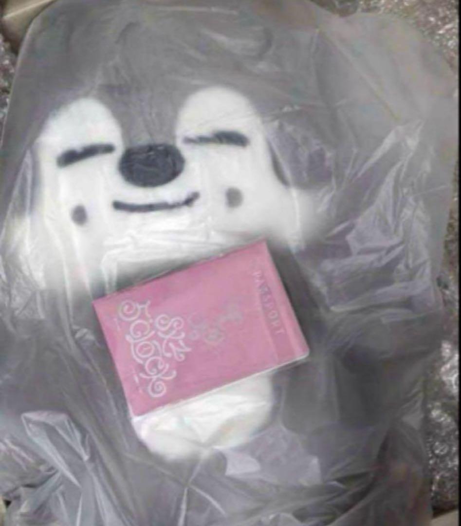 る*き様 straykids スキズ テディベア SKZOO ウルフチャン　te