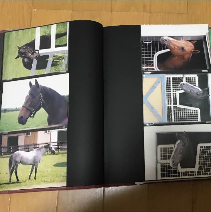 名馬 生写真 写真集 レース写真 種牡馬 競走馬 アルバム 競馬