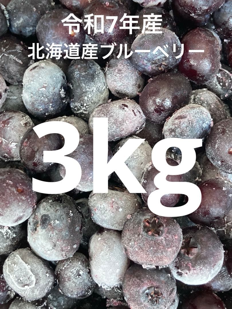 冷凍ブルーベリー