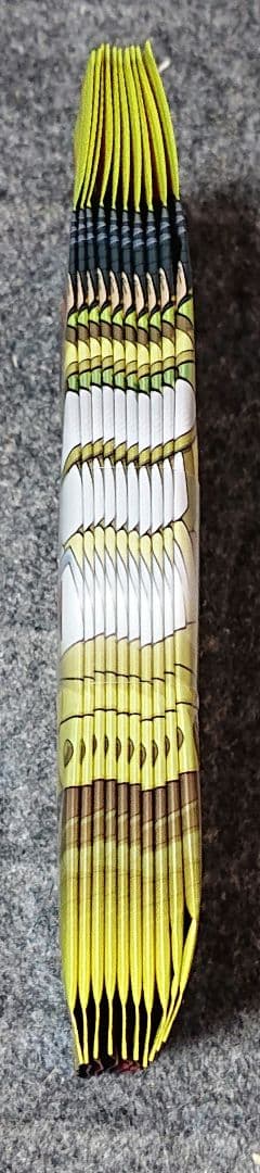 遊戯王 デュエルアカデミアセレクション 10パックセット