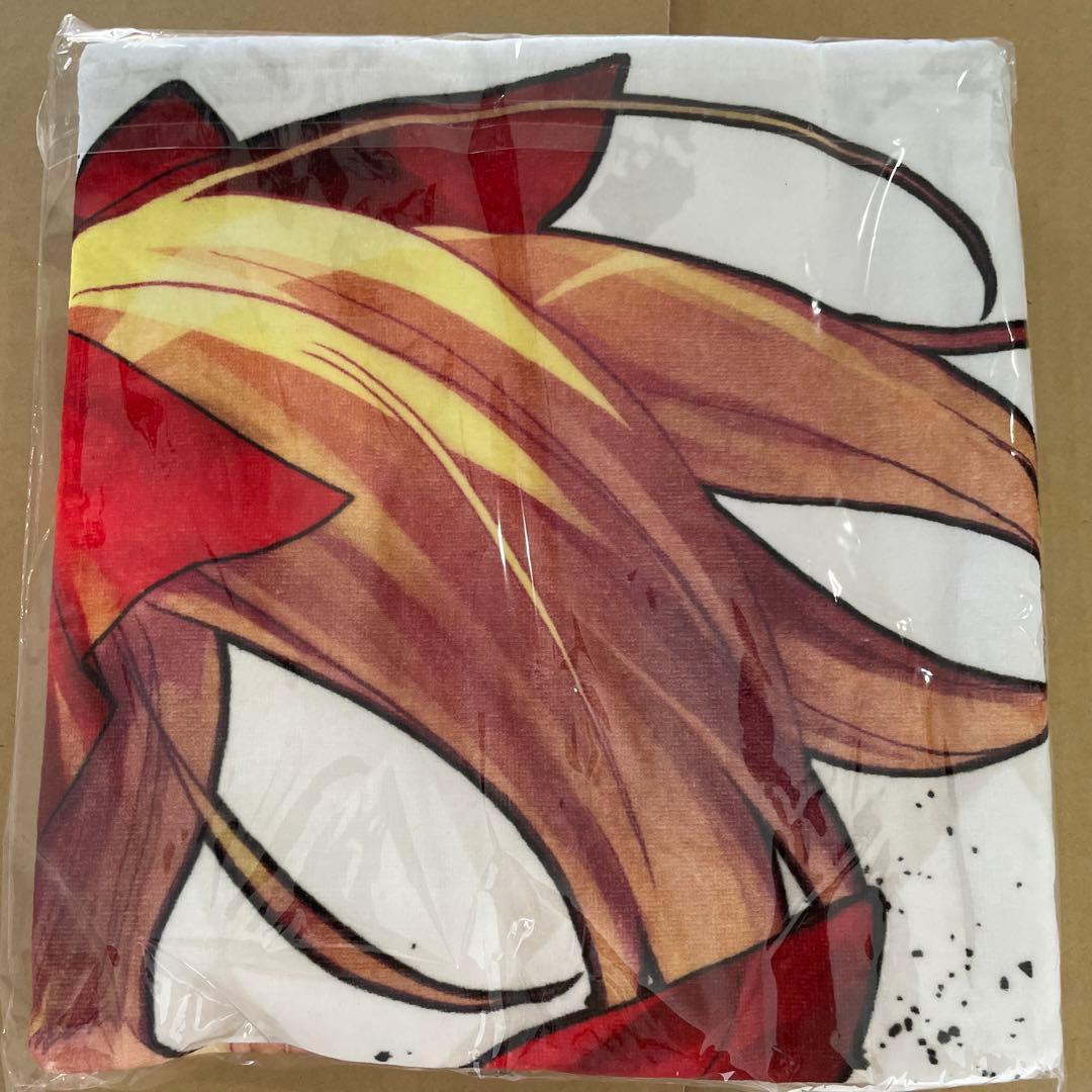 TYPE-MOON Racing　ネロ・クラウディウス　ビッグタオル