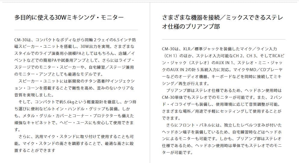 Roland CUBE CM-30 モニター