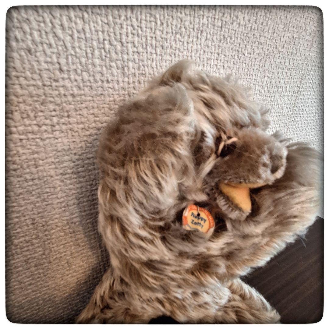 【居眠りテディベア Floppy Zotty 17cm】ヴィンテージ シュタイフ