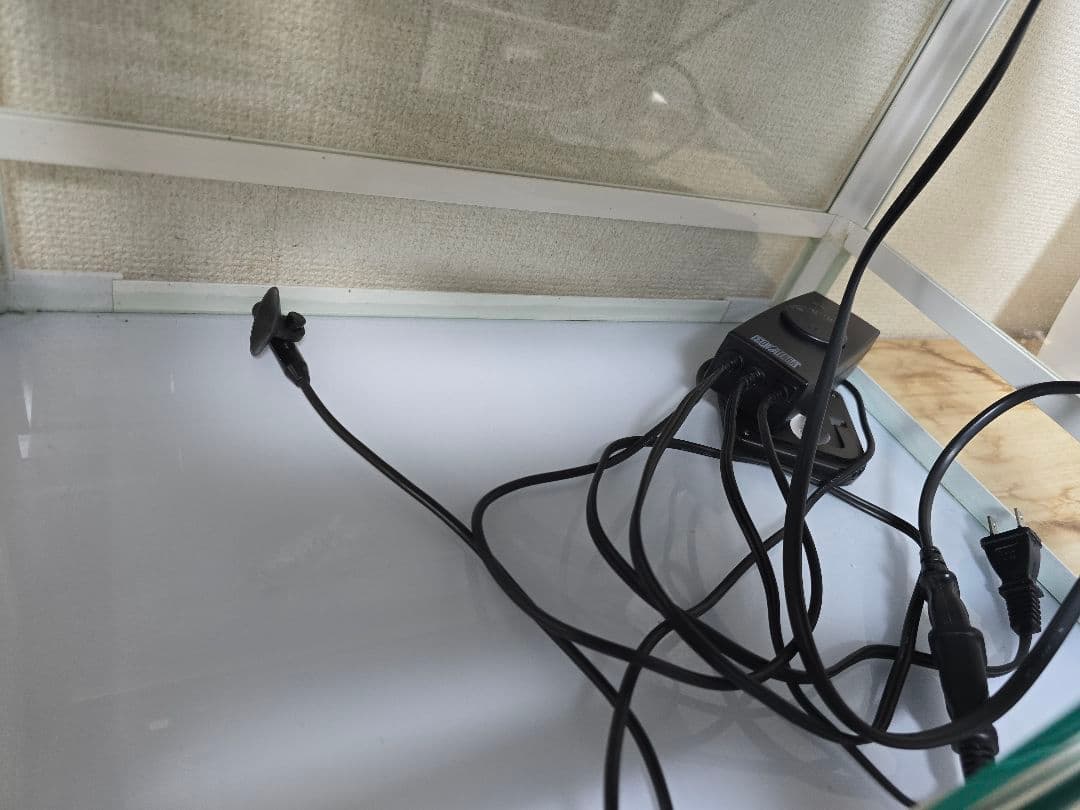 REPTI WILD 爬虫類飼育ケース