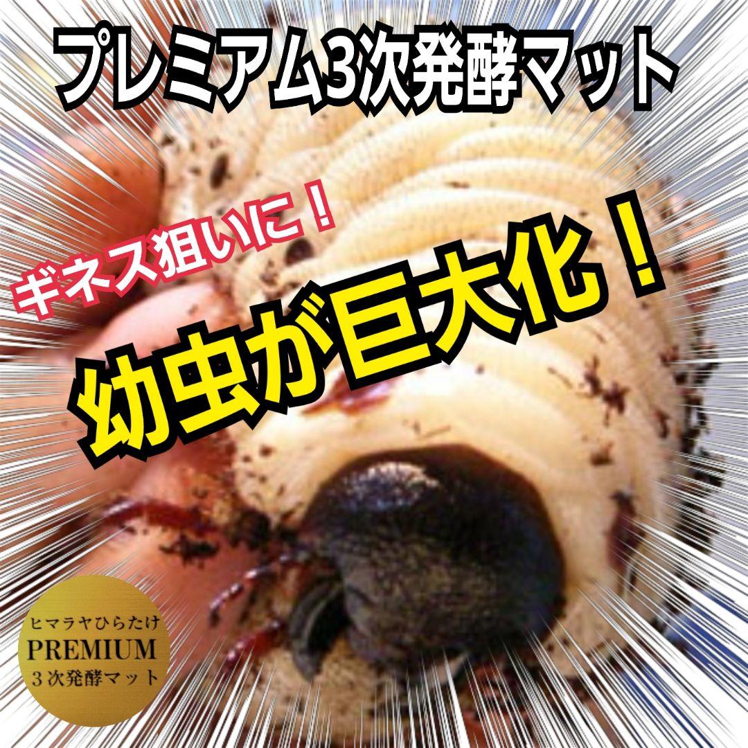 カブトムシ幼虫が巨大化！プレミアム3次発酵カブトムシマット【50L】産卵にも抜群