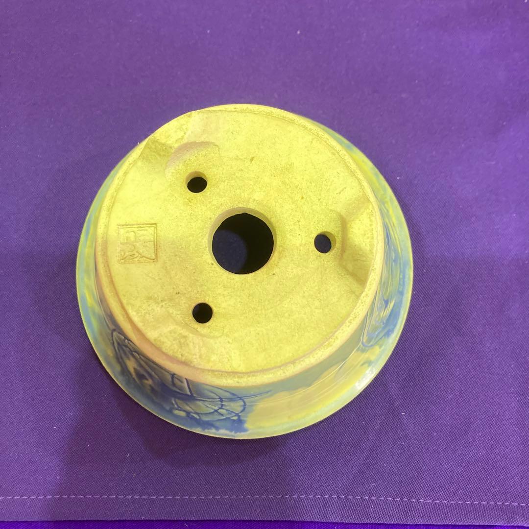 正成のミニ盆栽鉢