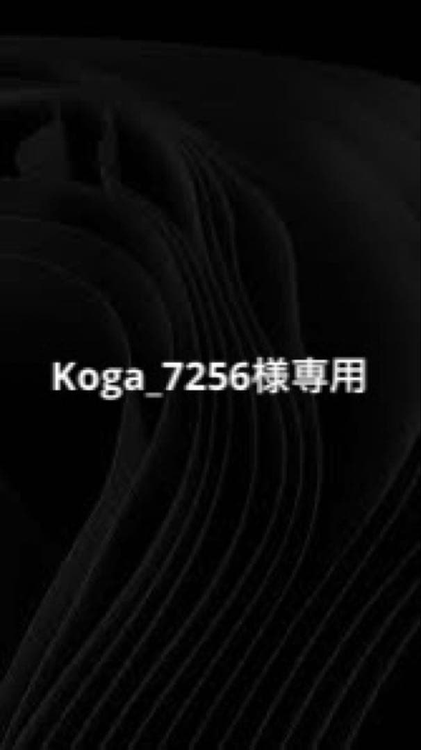 自転車本体 Koga_7256