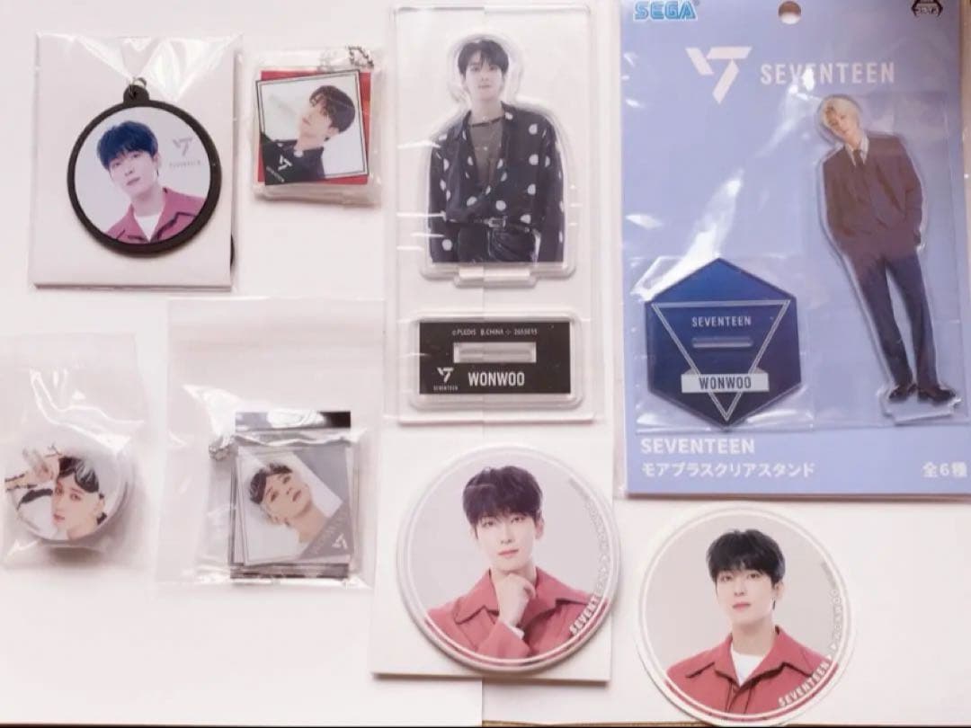 SEVENTEEN トレカ・グッズ ウォヌ 48点
